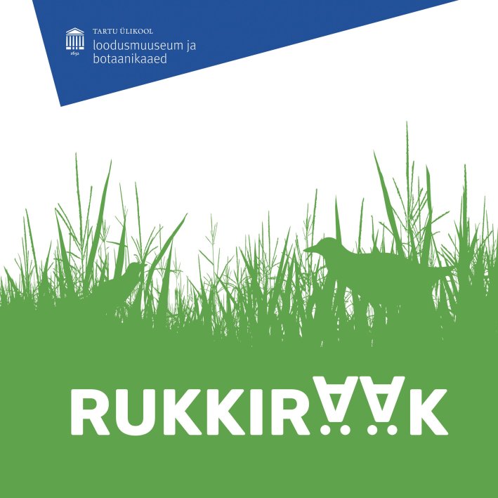 rukkirääk