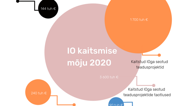 IO kaitsmise mõju 2020