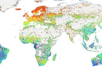 Global map showing the distribution of FM plants in the global flora and relationships with climatic and edaphic gradients